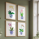 Ginger Jar Orchids S/2