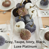 Small Velvet Pumpkin