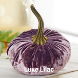 Large Velvet Pumpkin