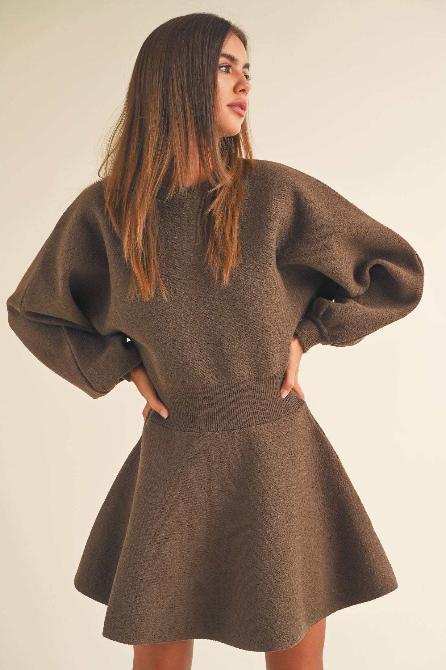 Sherry SLEEVE SWEATER DRESS