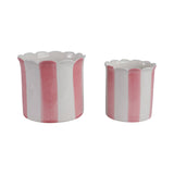 Pink Striped Scallop Container