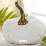 Large Velvet Pumpkin
