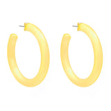 Lucite Shimmer Hoop Earring