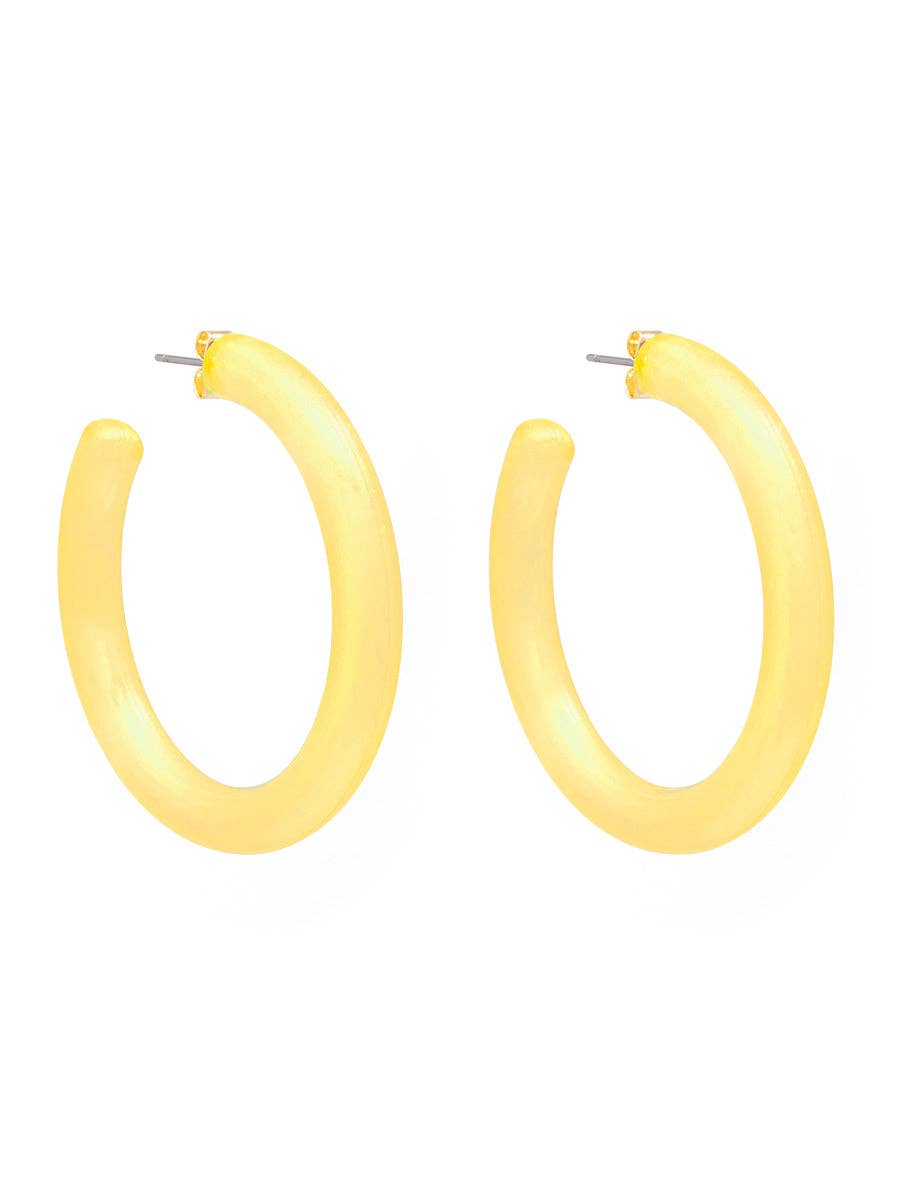 Lucite Shimmer Hoop Earring