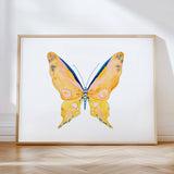 Butterflies S/2