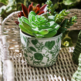 Green Cachepot