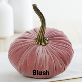 Small Velvet Pumpkin