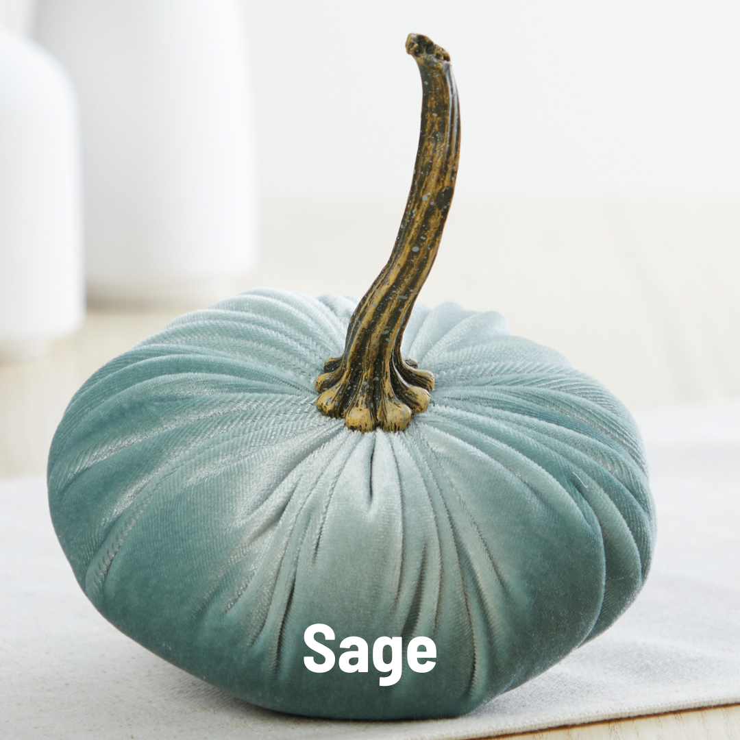 Small Velvet Pumpkin
