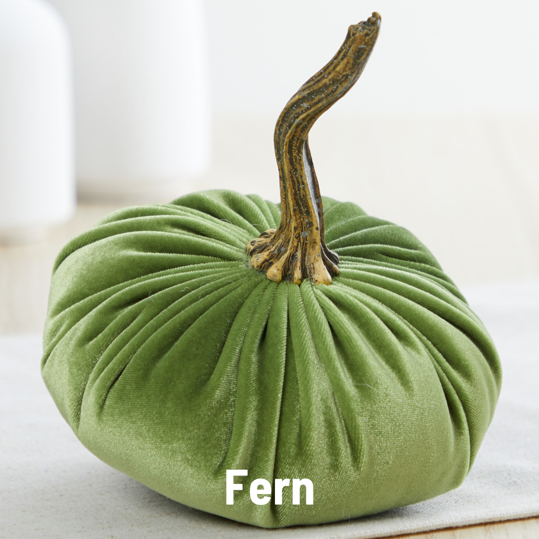 Small Velvet Pumpkin