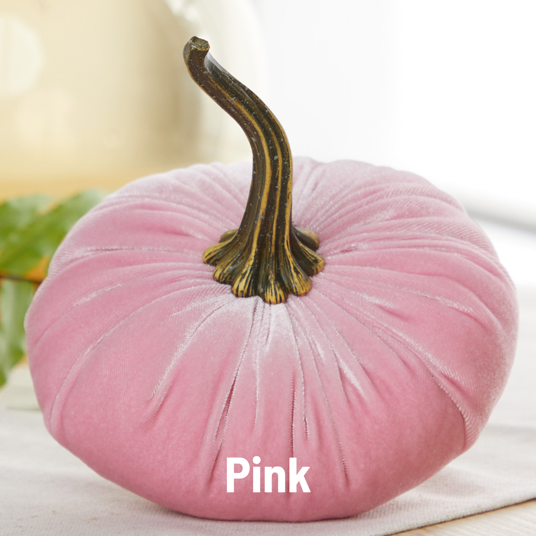 Large Velvet Pumpkin