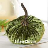 Large Velvet Pumpkin