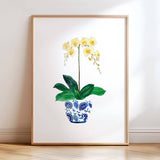 Ginger Jar Orchids S/2