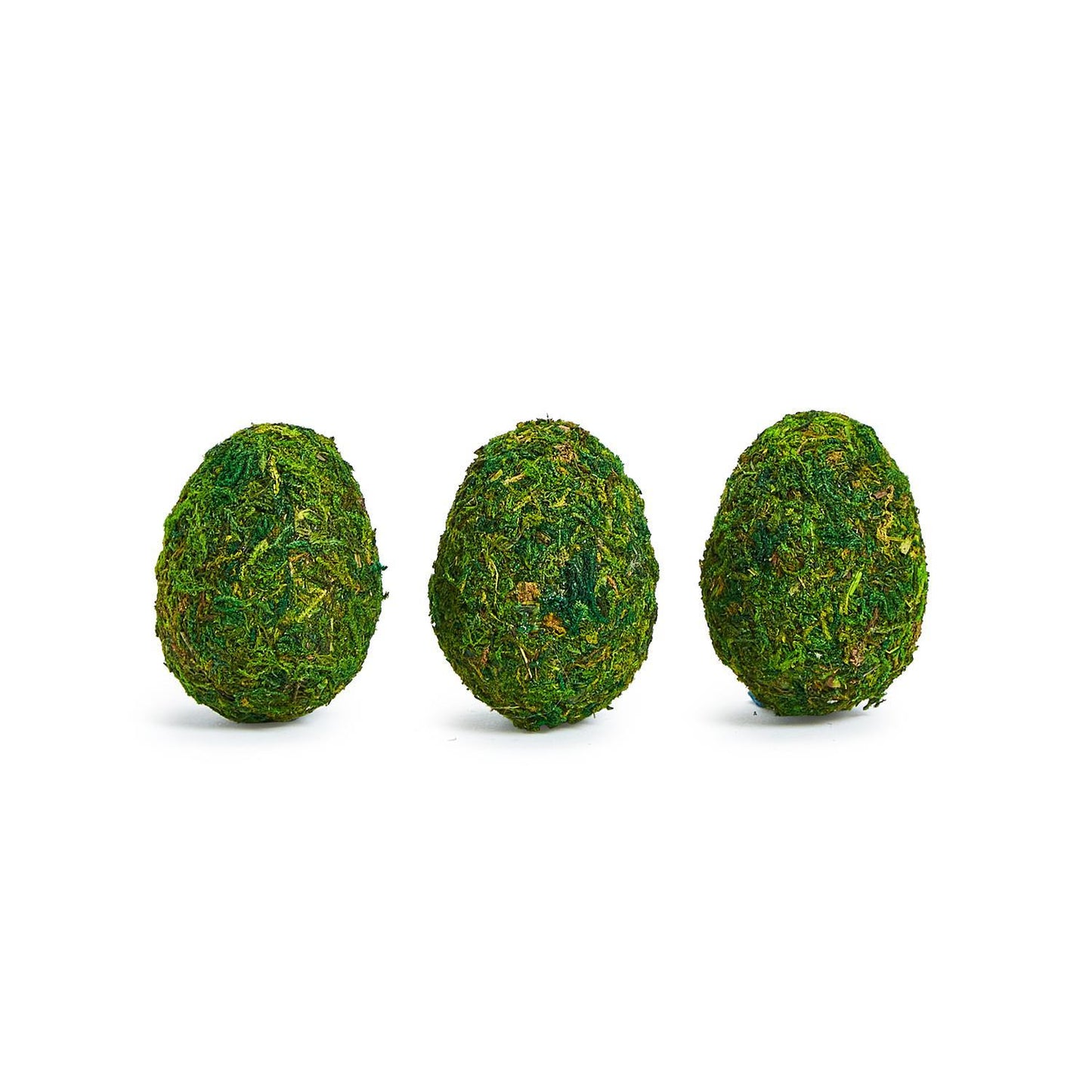Moss Eggs