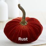Small Velvet Pumpkin