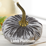 Large Velvet Pumpkin