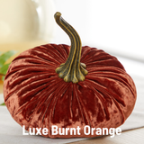 Large Velvet Pumpkin