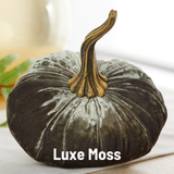 Large Velvet Pumpkin