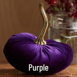 Large Velvet Pumpkin