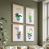 Ginger Jar Orchids S/2
