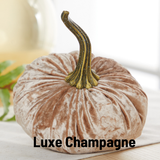 Large Velvet Pumpkin
