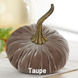 Large Velvet Pumpkin