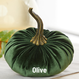 Large Velvet Pumpkin
