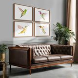 Hummingbirds S/2