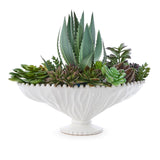 Ribbon Reef Pedestal Dish