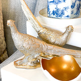 S/2 Golden Pheasant