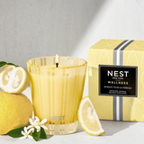 NEST Sunlit Yuzu & Neroli Classic Candle