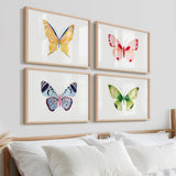 Butterflies S/2