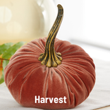 Large Velvet Pumpkin