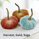 Small Velvet Pumpkin