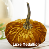 Small Velvet Pumpkin