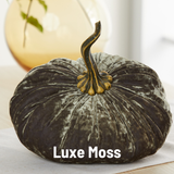 Extra Large Velvet Pumpkin
