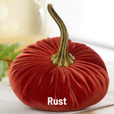 Large Velvet Pumpkin
