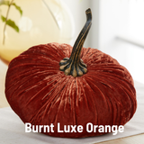 Extra Large Velvet Pumpkin