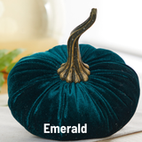 Large Velvet Pumpkin
