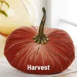 Extra Large Velvet Pumpkin