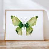 Butterflies S/2