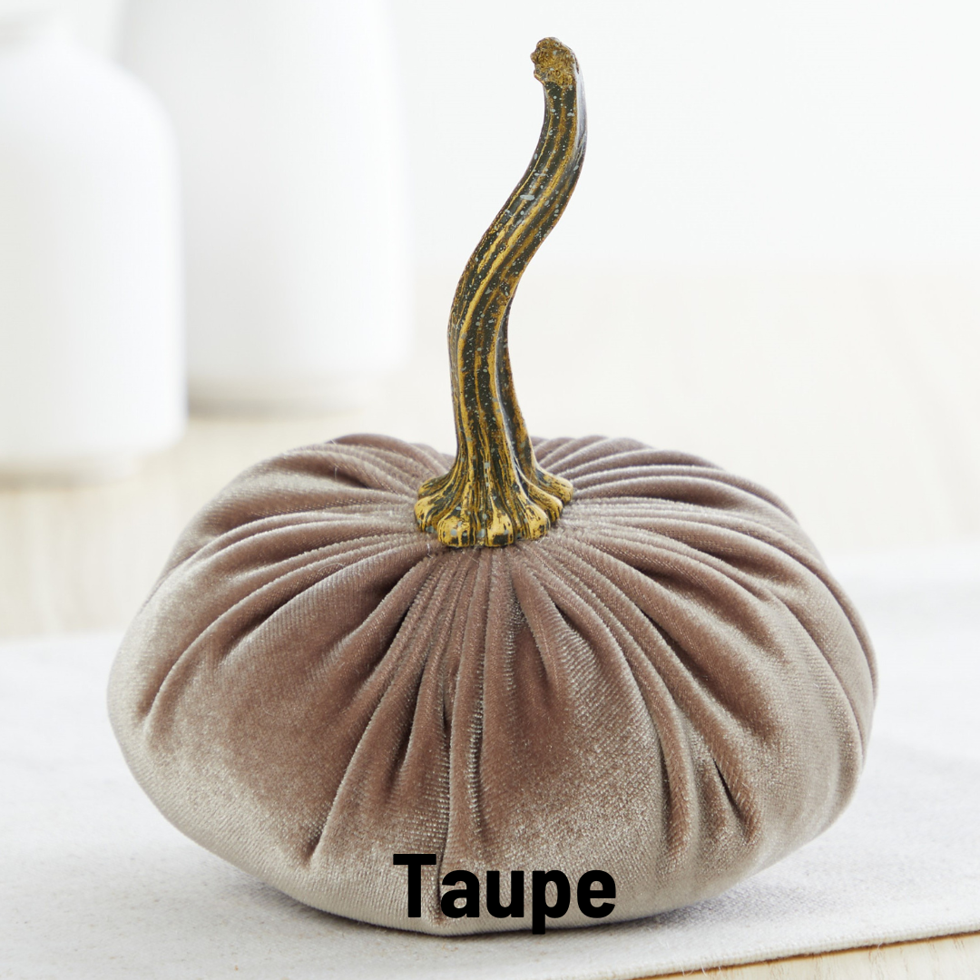 Small Velvet Pumpkin