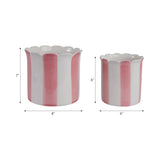 Pink Striped Scallop Container