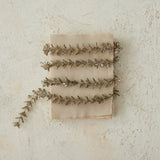 Glitter Boxwood Champagne Garland