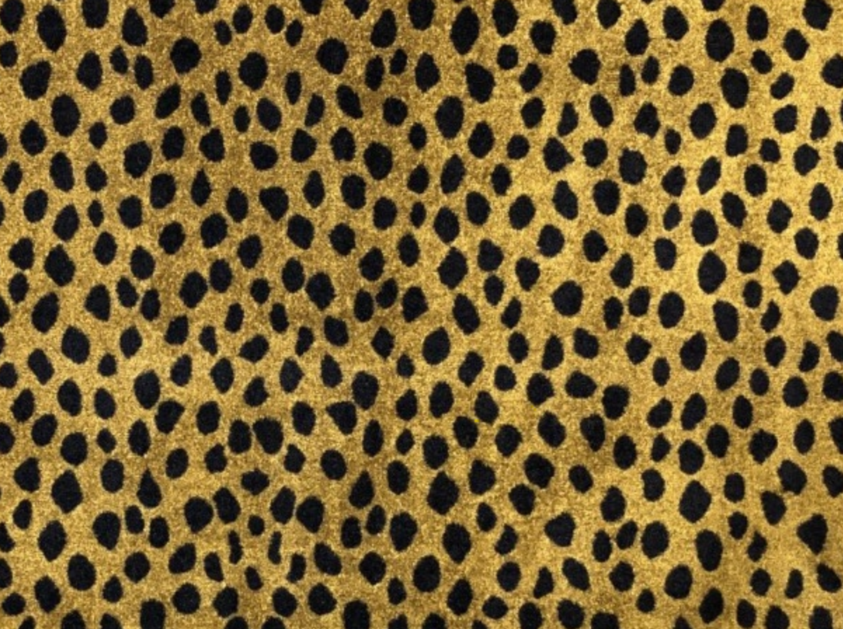 Indoor/Outdoor Mat-Leopard
