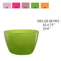 Delhi Bowl